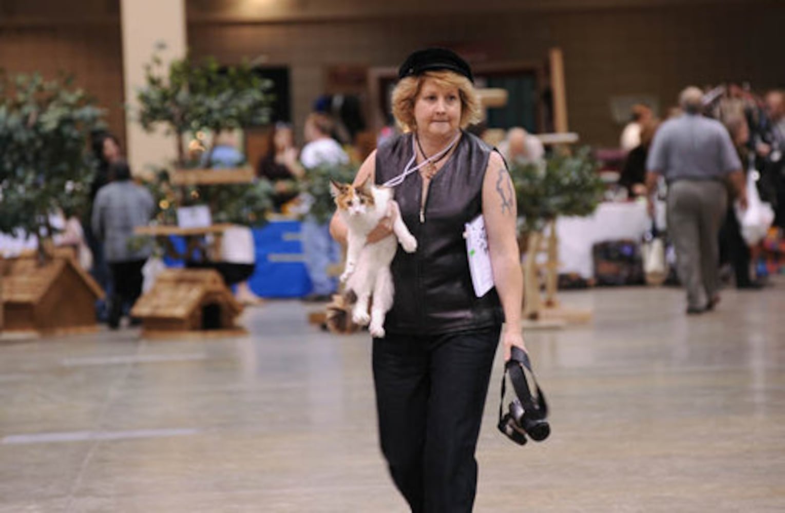 Cotton States Cat Club CFA Championship