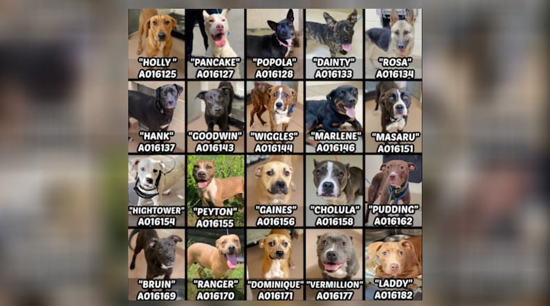 All 20 dogs at risk of being euthanized Friday at the Clayton County animal shelter have been adopted or received commitments from animal rescue groups, animal control officials said late Thursday.