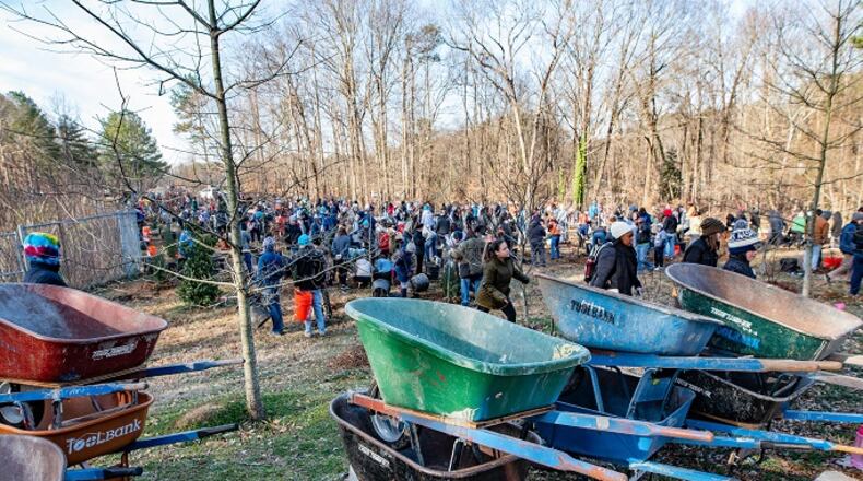 Dunwoody’s observation of Georgia Arbor Day will engage a large volunteer force and extend across two days, beginning Feb. 21. CONTRIBUTED