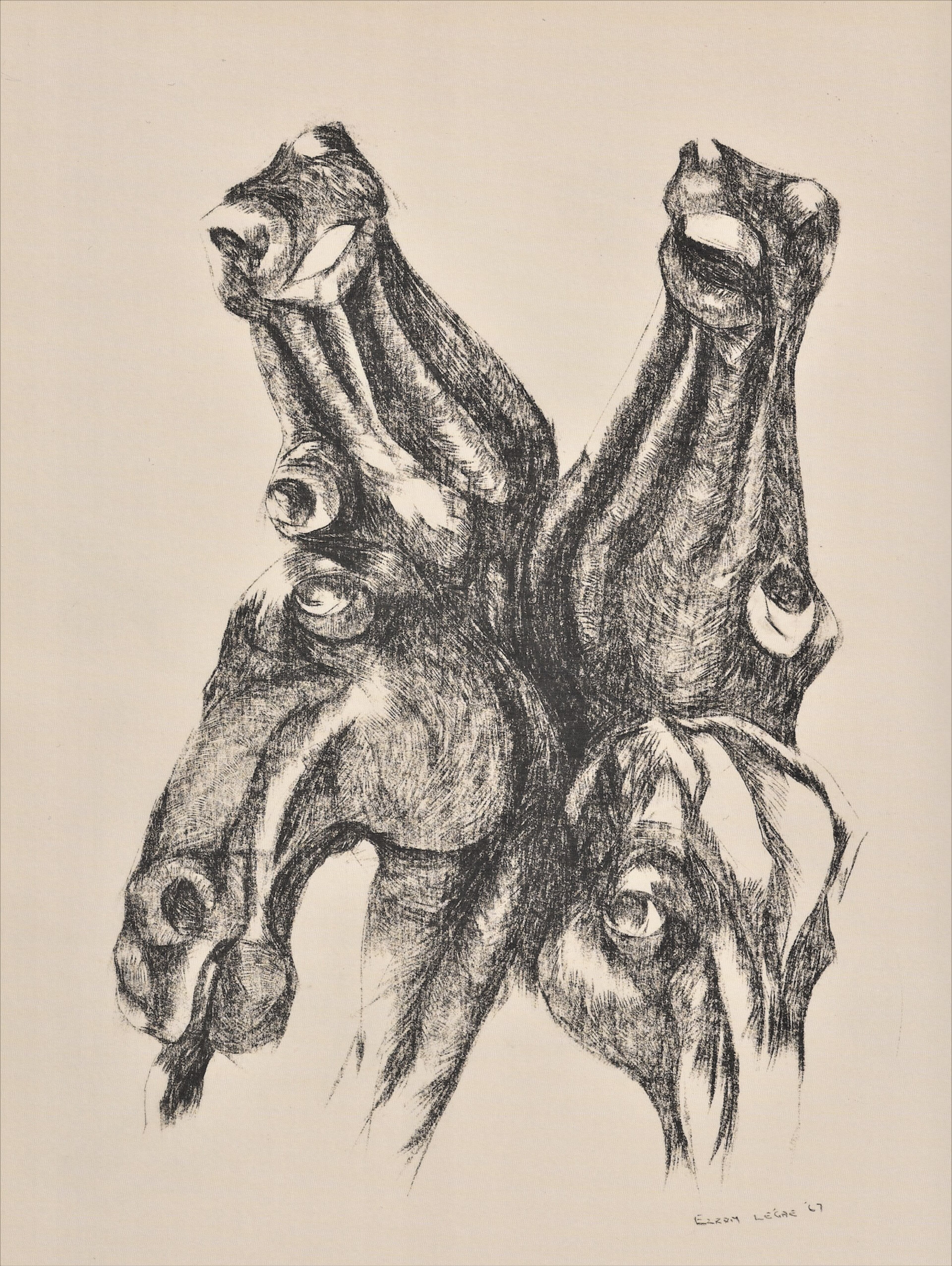 "Horse, four stages of dying" (1967), in pencil and charcoal on paper by South African artist Ezrom Legae. (courtesy of High Museum of Art)
