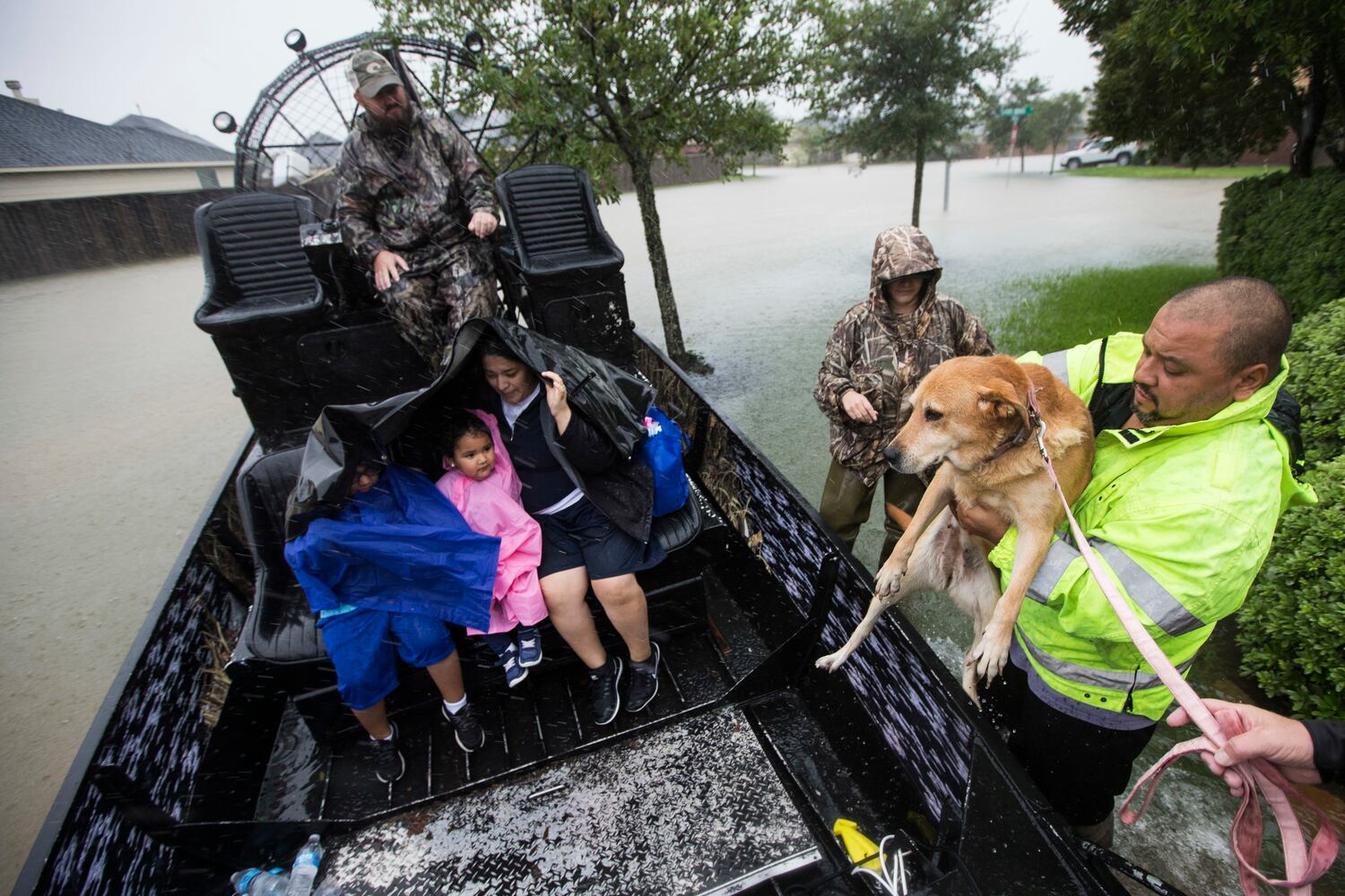 Photos: Harvey’s impact on people and their pets