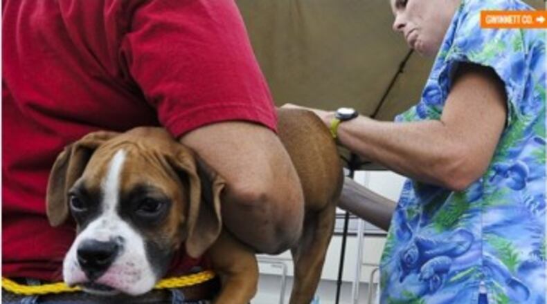 Gwinnett Animal Welfare is raising awareness about World Rabies Day by encouraing pet vaccinations. (AJC file photo)