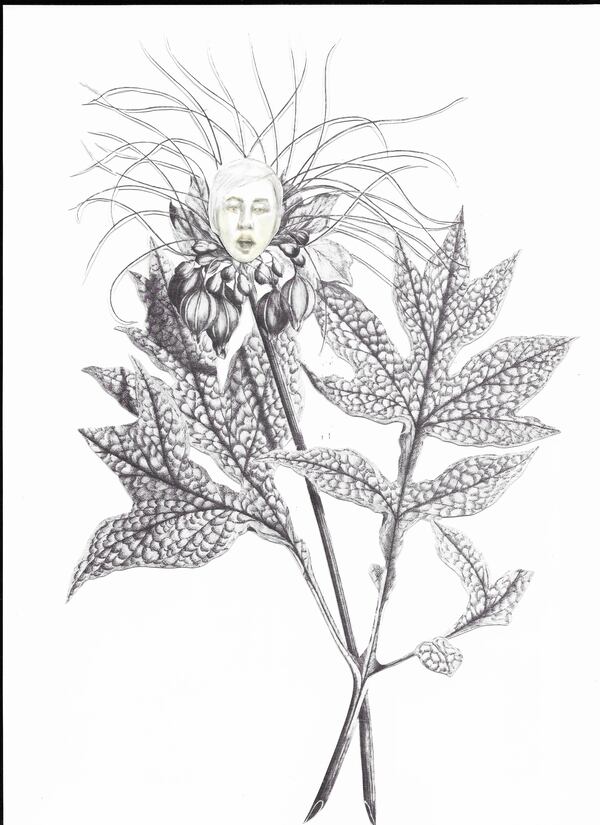 "If flowers could sing #1" (2019), watercolor on botanical reproduction, by Teresa Bramlette Reeves, a participating artist in "She Is Here."
Courtesy of Teresa Bramlette Reeves