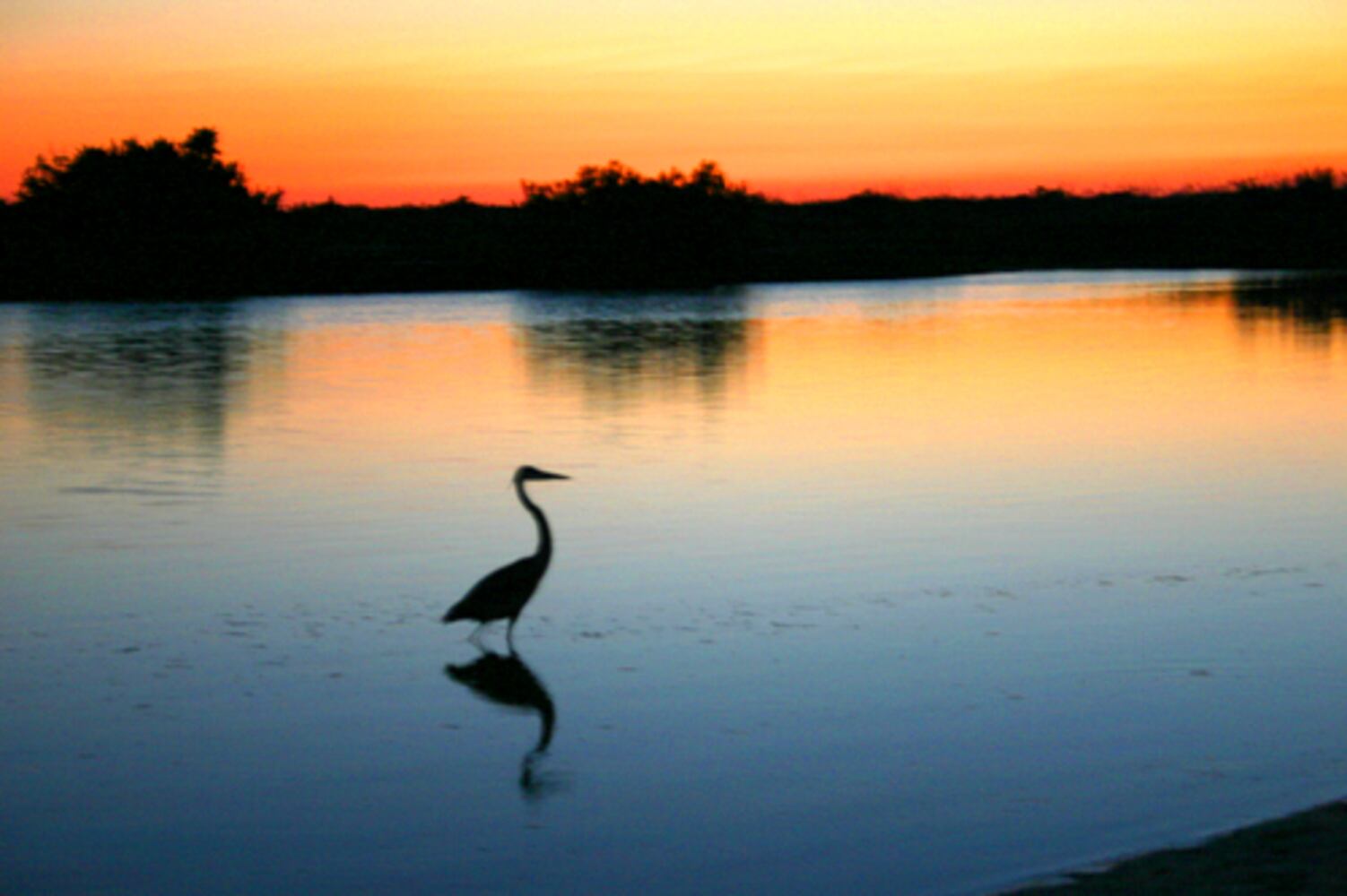 Cayo Costa State Park: An outdoor lover's paradise with camping, swimming, fishing and much more!