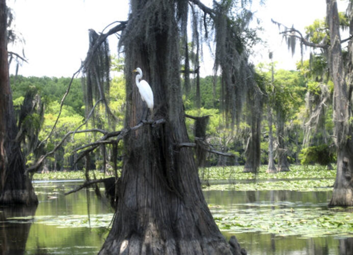Mystical Texas lake fascinates visitors