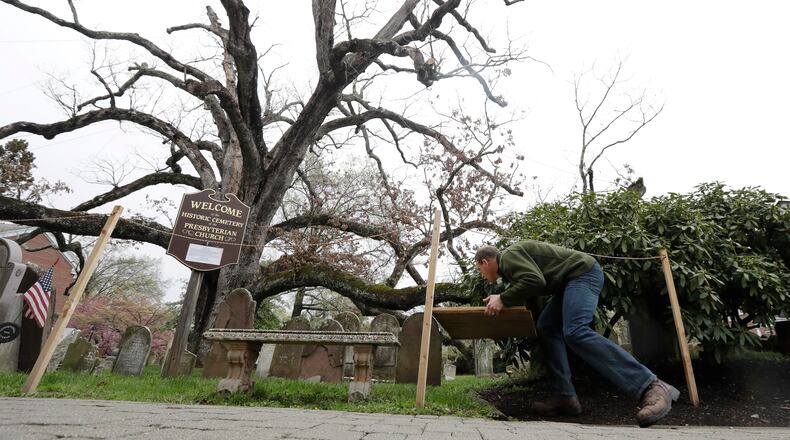 In a photograph taken Friday, April 21, 2017, Keith Keiling carries boards to be used for support beams in holding a 600-year-old white oak tree on the grounds of Basking Ridge Presbyterian Church in Bernards, N.J. Keiling's tree removal company is scheduled to remove the tree, believed to be among the oldest in the nation but was declared dead after numerous problems started appearing last summer. (AP Photo/Julio Cortez)