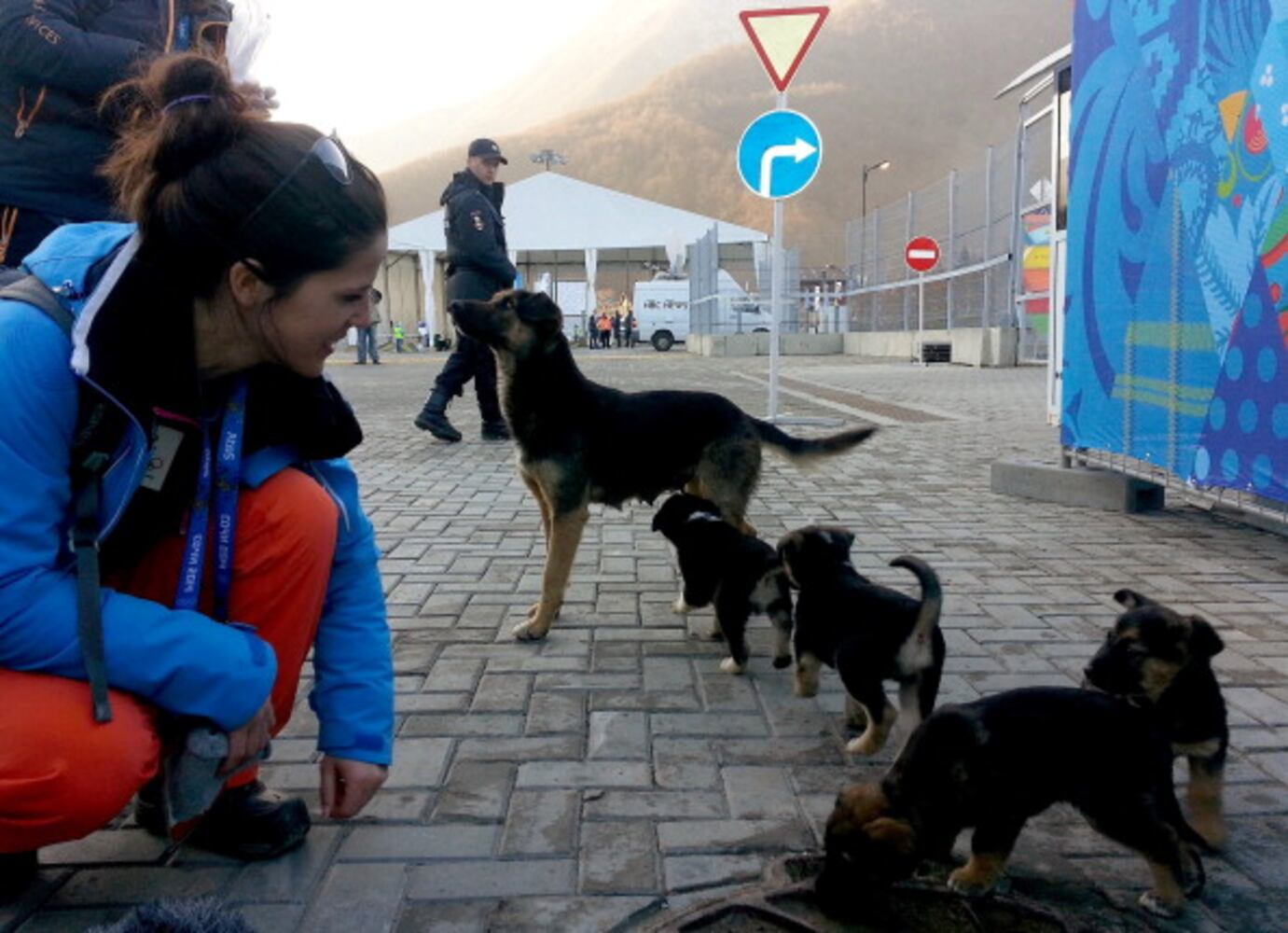 Winter Olympics host city overrun with strays