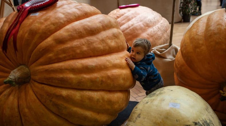 A 3-year-old cancer patient enjoyed a late round of trick-or-treating after missing Halloween.