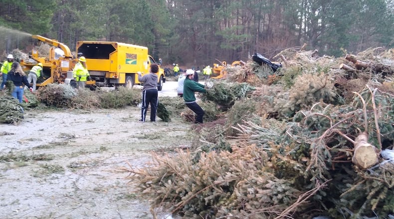 Gwinnett residents can drop off their live trees between Dec. 26 and Jan. 24 at most Gwinnett fire stations. (Courtesy Gwinnett Clean & Beautiful)