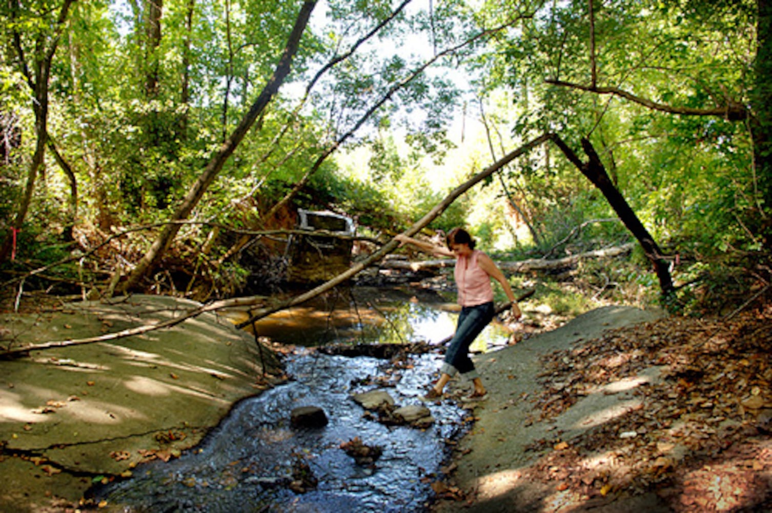 Expansion of Blue Heron Nature Preserve