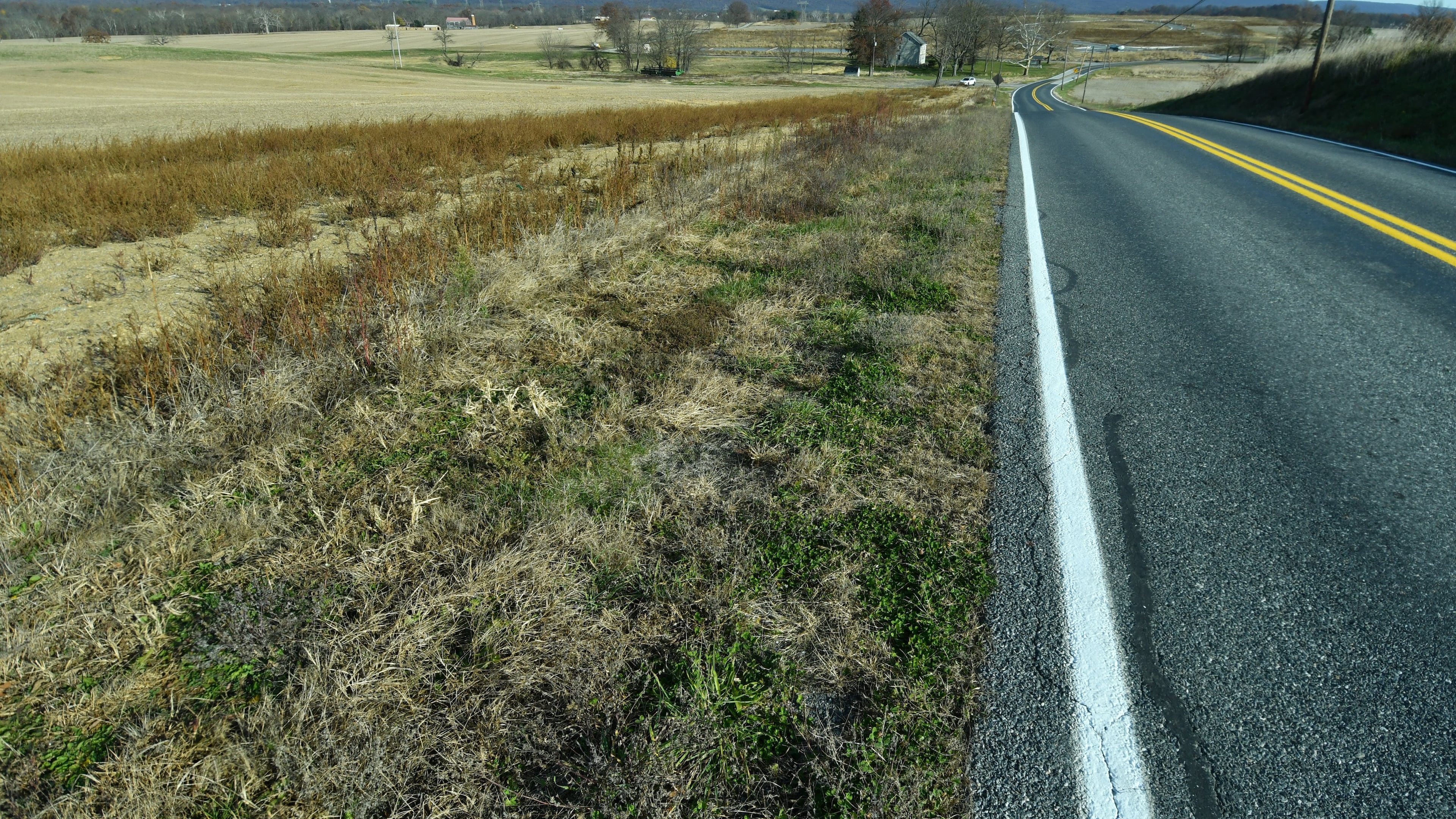 This stretch of land between the Conodoguinet Creek and Country Club Road near Carlisle, Pennsylvania, is in the planning stages to become a $15 billion data center complex, Friday Nov. 14, 2025, in Carlisle, Pa. (AP Photo/Marc Levy)