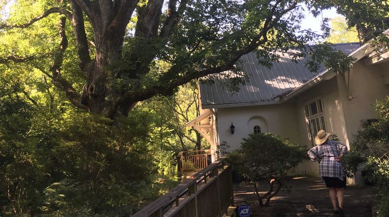This white oak, which is five feet in diameter, sits for now in Lost Corner Preserve, a 24-acre park in Sandy Springs. The city recently announced that it must remove the tree because it is a safety hazard. (Ben Brasch/AJC)