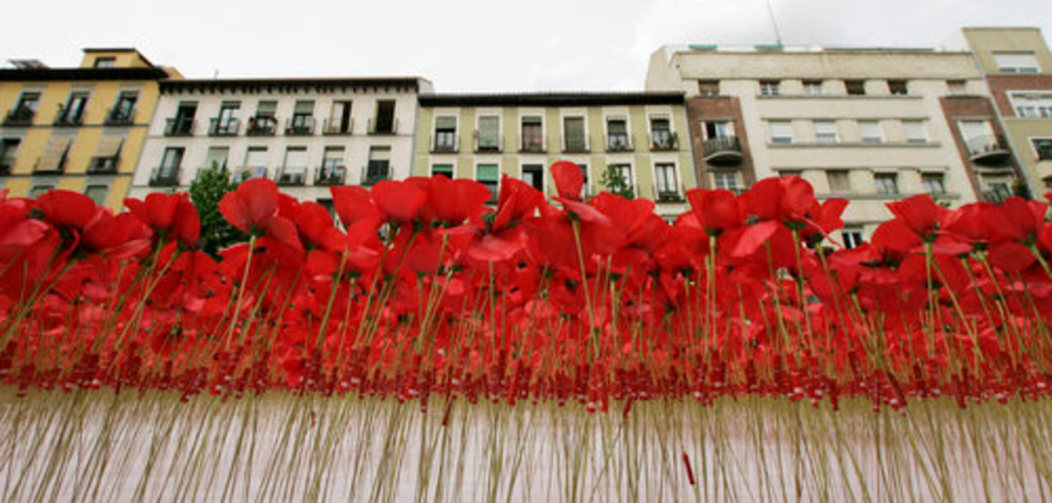 June 4, 2008: Today in Pictures