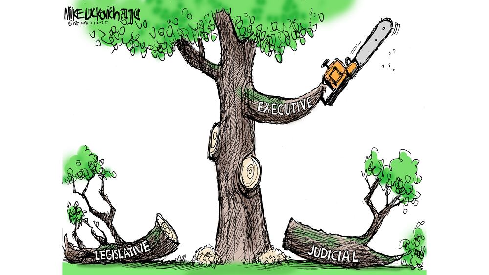 Political cartoon depicts a tree with one branch labeled "executive" holding a chainsaw and two branches labeled "legislative" and "judicial" lying on the ground