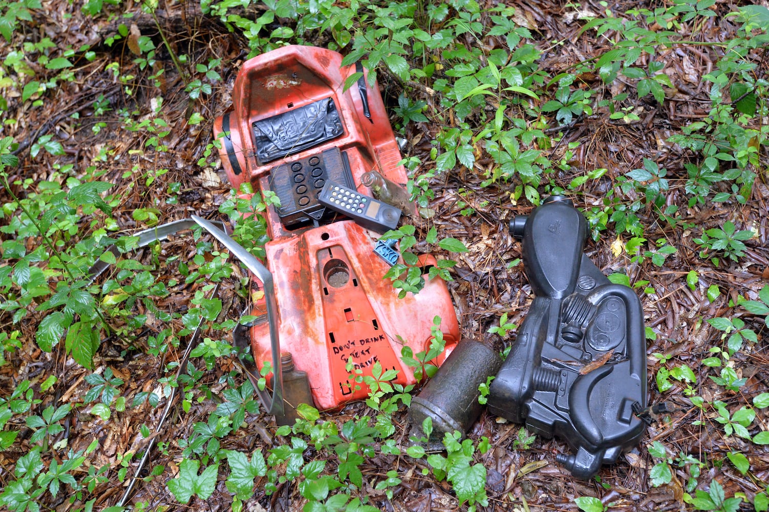 Doll's-Head Trail