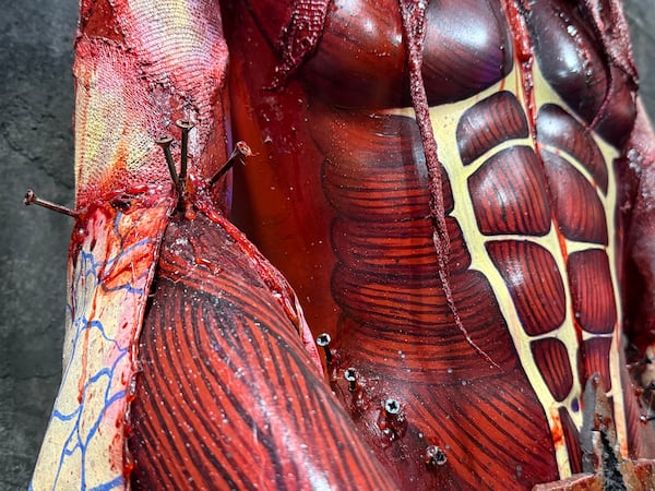 Trini Liska, an artist from East Atlanta who works full-time on Netherworld's creative staff, painted this mannequin by hand to show the inner workings of the creatures muscles and tendons. ((Danielle Charbonneau/AJC)