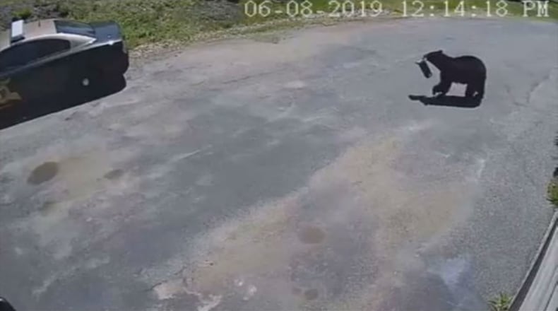 A bear made off with a bird feeder Saturday from a New Hampshire home. (Photo: New Hampshire State Patrol)