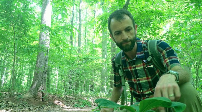 Eli Dickerson, an ecologist with the Fernbank Museum of Natural History, kneels beside native flora that is beginning to thrive on a tract in Fernbank Forest. MARK DAVIS/MRDAVIS@AJC.COM