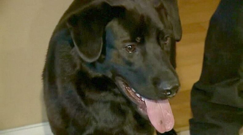 Bear's unique skills were called upon earlier this year, during a child pornography investigation at the home of former Subway pitchman, Jared Fogle.