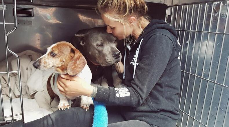 OJ and Blue Dozer were reunited after the person who adopted them separated the pair. (Photo: Richmond Animal Care and Control)