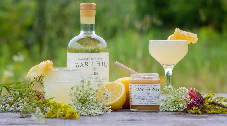 Made with pure raw honey, Barr Hill Gin is delightfully fitting in a Bee's Knees.
(Courtesy of Caledonia Spirits)