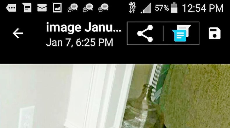 Even Sadie the dog will be happy to see her friend Peaches back home again. Photo: Stephanie Cunningham.