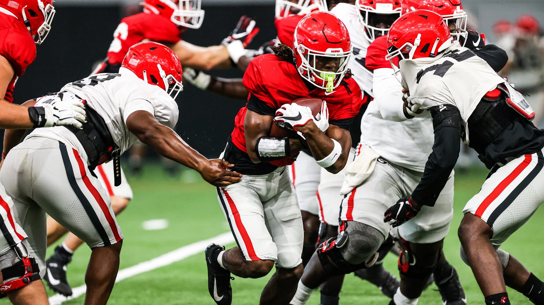 Georgia Bulldogs
