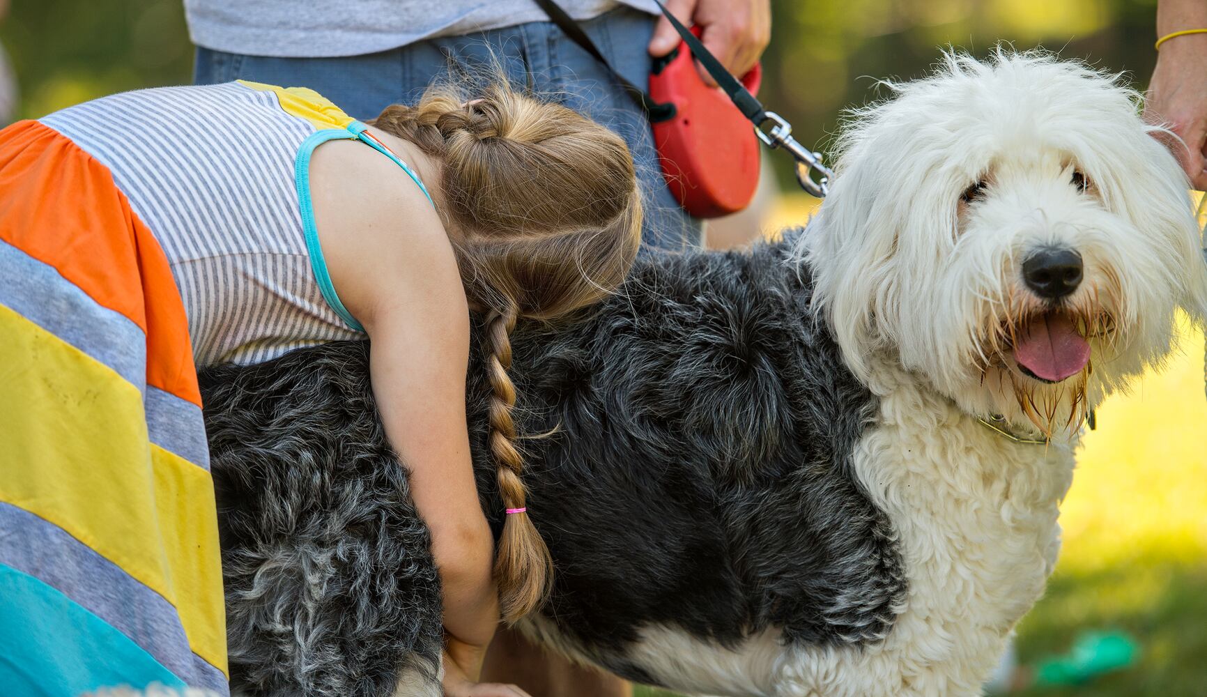 Bark in the Park 2015