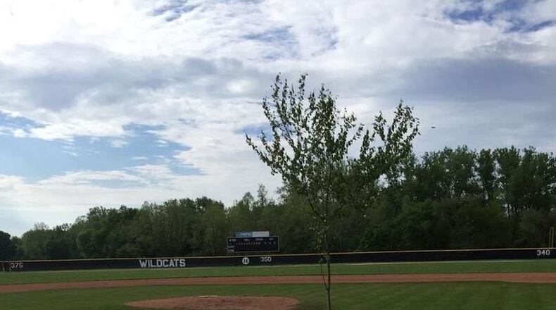 The “Prank Tree” at Franklin High School’s baseball field. EVAN MARGERUM / CONTRIBUTED PHOTO