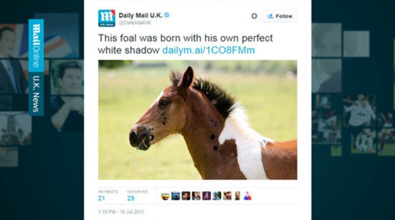 Photo credit: Daily Mail UK via Twitter