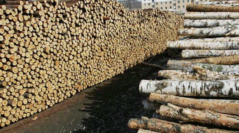 Workers standing on a stack of logs. (Photo by China Photos/Getty Images)