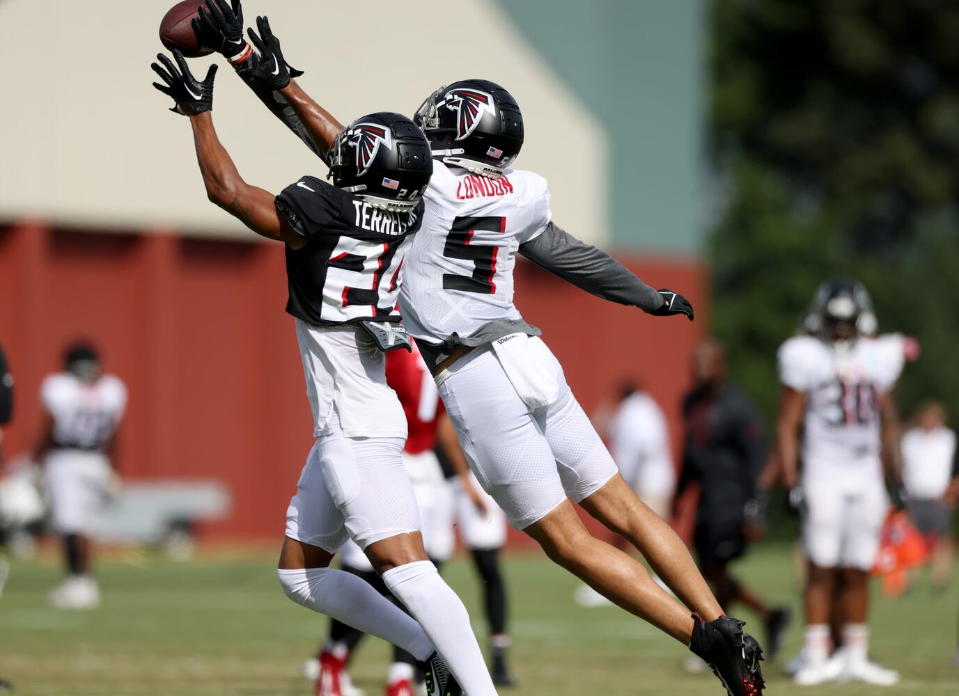 Atlanta Falcons Training Camp