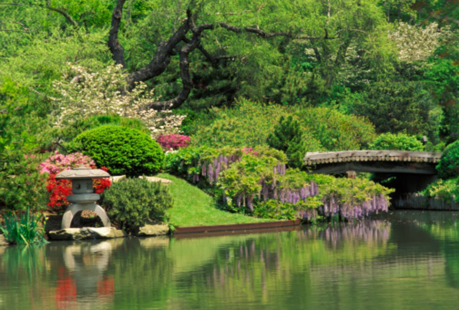 Missouri Botanical Garden