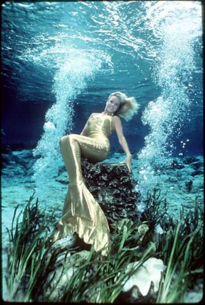 The mermaids of Weeki Wachee Springs