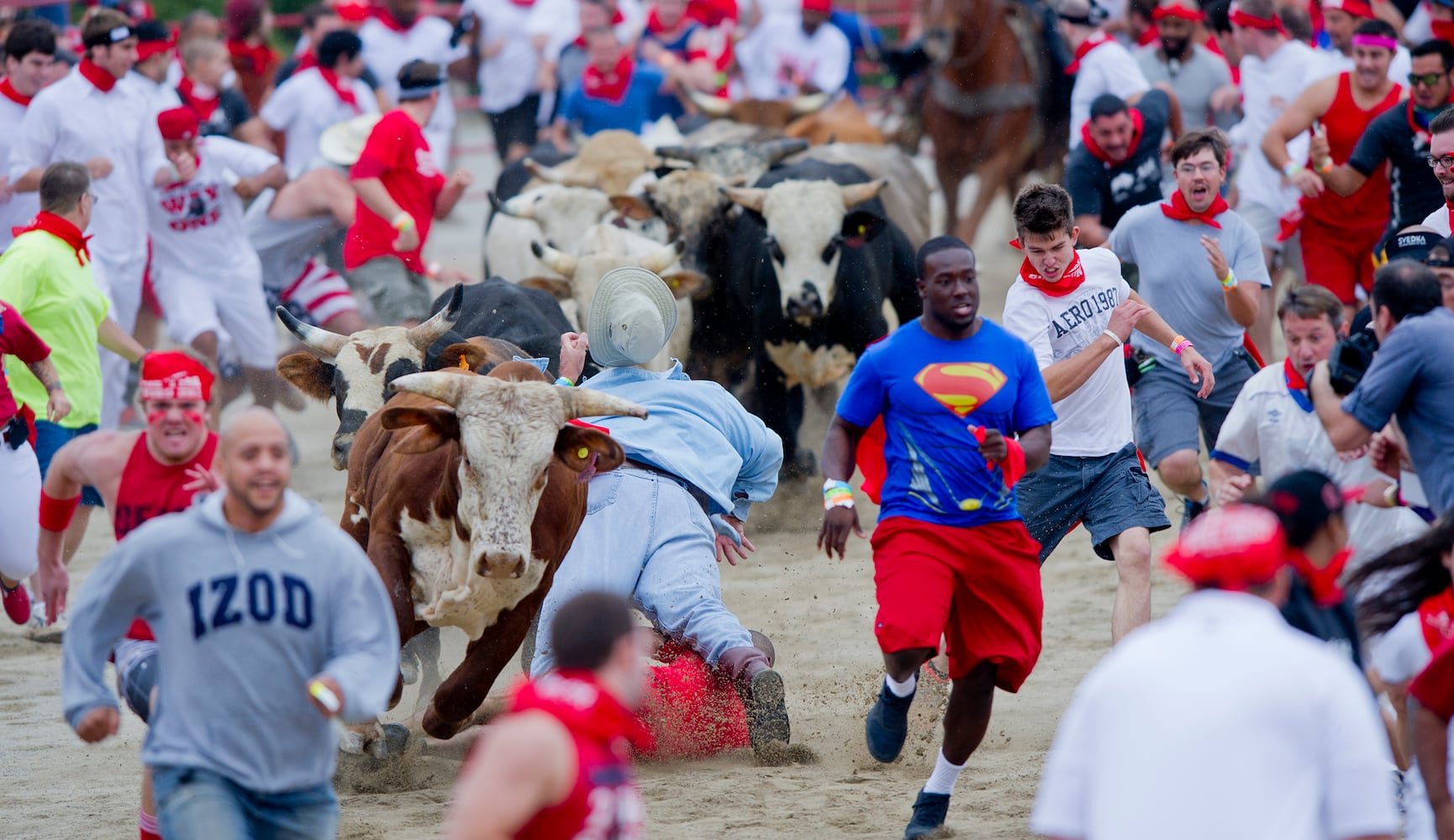 The Great Bull Run