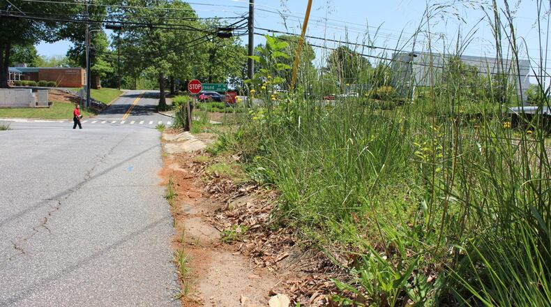 Tall roadside grass off Fairground Street in Marietta.