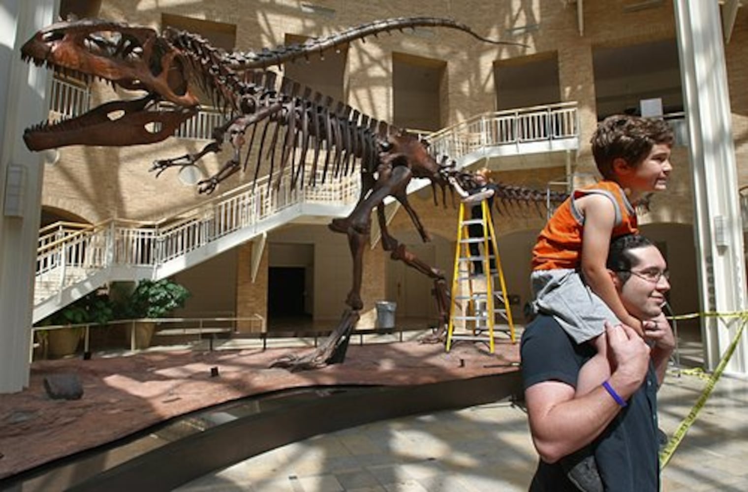 Atlanta dinosaurs get all cleaned up