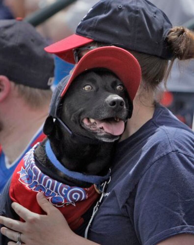 Dog days already? Bark in the Park at Turner Field