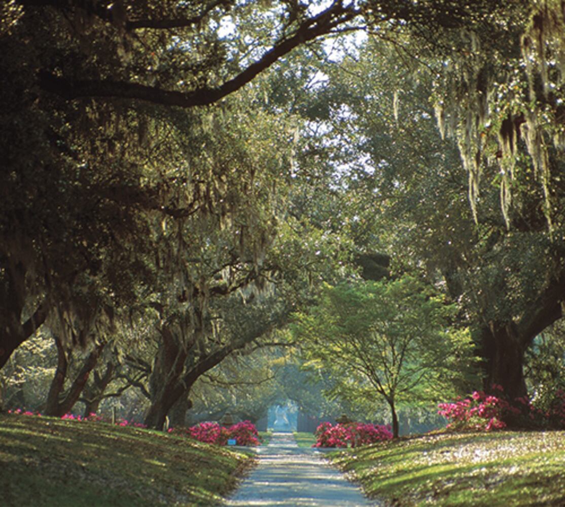 South Carolina's Hammock Coast