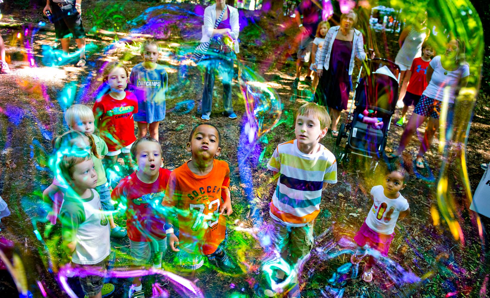 Butterfly Festival at Dunwoody Nature Center