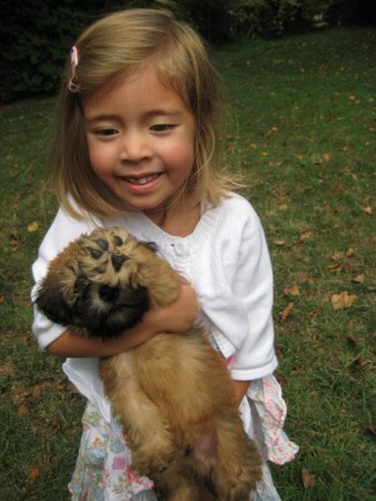 T.G.I.F. Atlanta's Smiling Pets 61