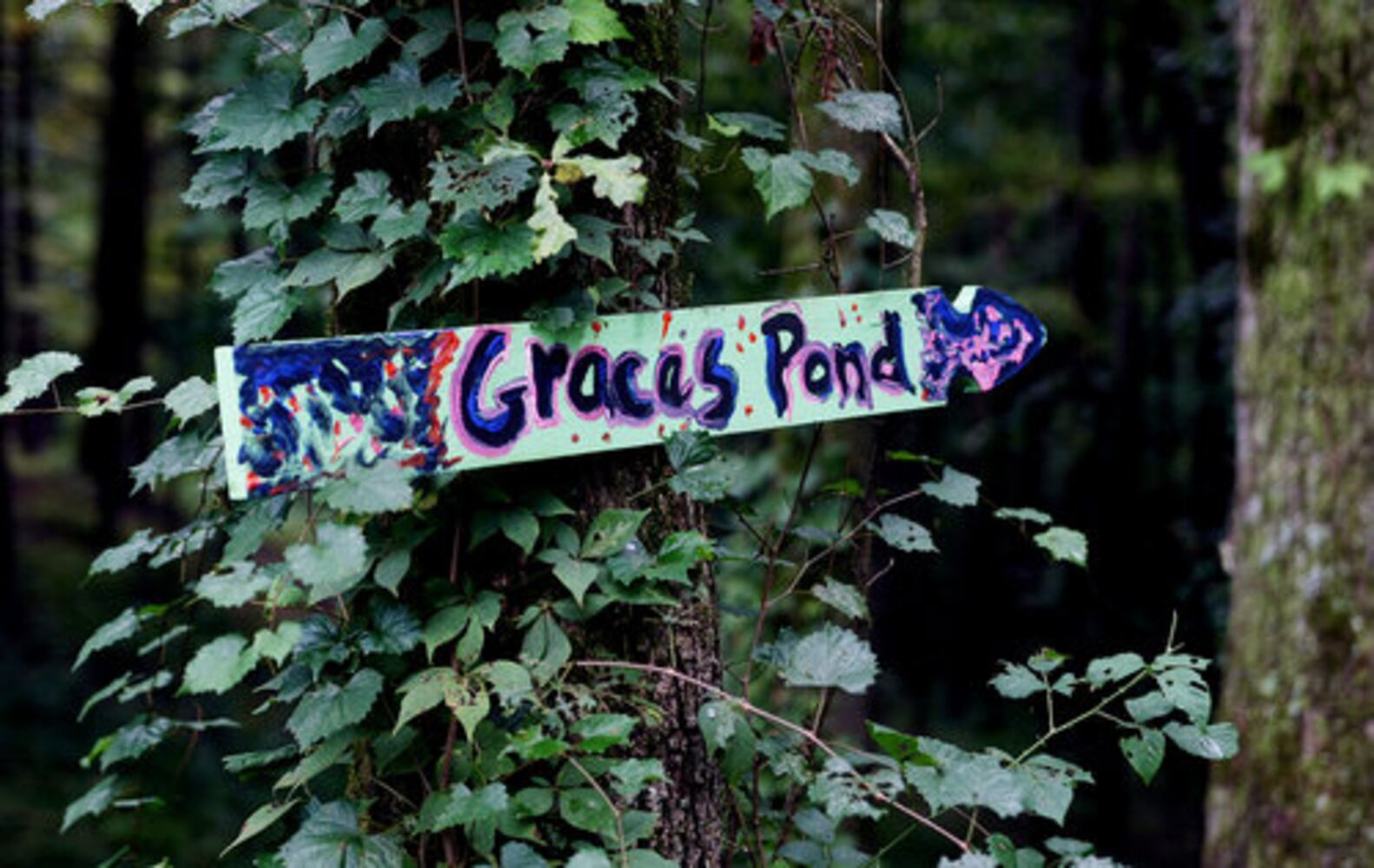 Luxury camping at Ellijay's Martyn House