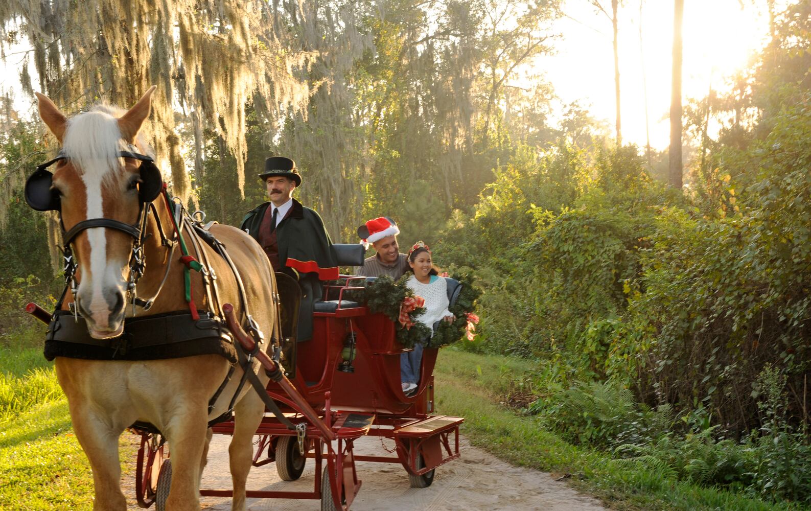 Holidays at Walt Disney World