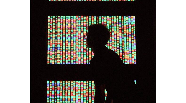 A visitor views a digital representation of the human genome in August 2001 at the American Museum of Natural History in New York City. (Mario Tama/Getty Images)