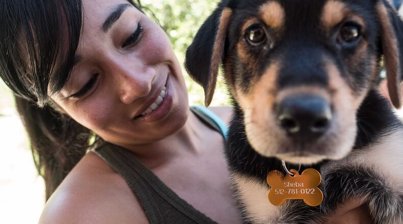 Pet shops in Sandy Springs are no longer allowed to sell cats and dogs from breeders, per a new ordinance. City leaders hope it encourages adoption.