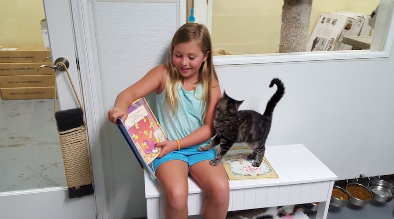 Kids can share a story with a cats at a Gwinnett County library branch.