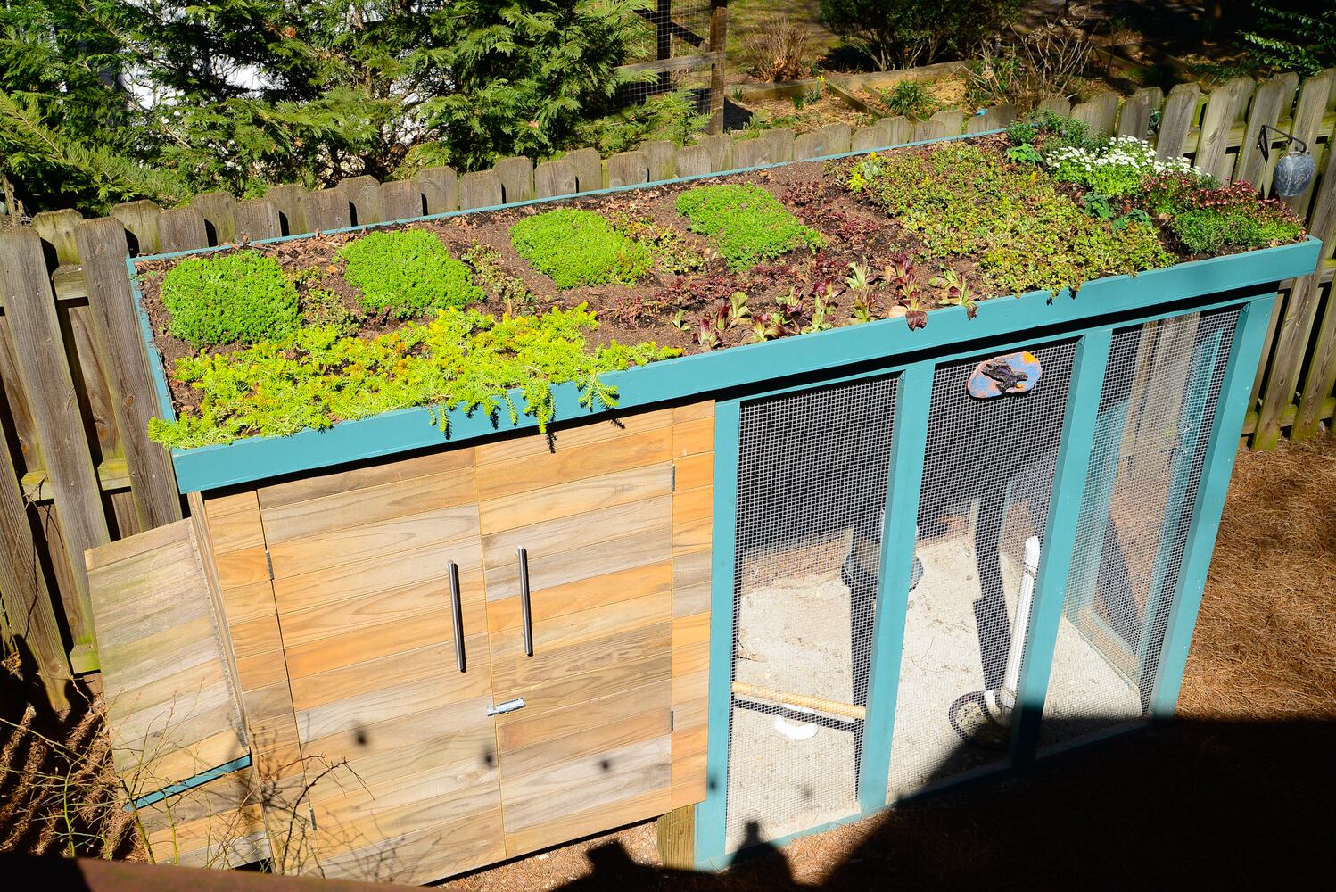 Chicken coop, homeowners' favorite outdoor feature
