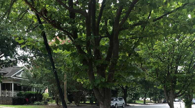 Catherine Chase wants to know what these curious items are in Atlanta.