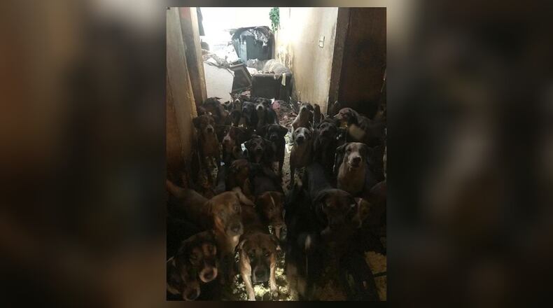 The number of dogs recovered in a weekend house fire in south Fulton County has risen from 50 to 85, authorities said.
