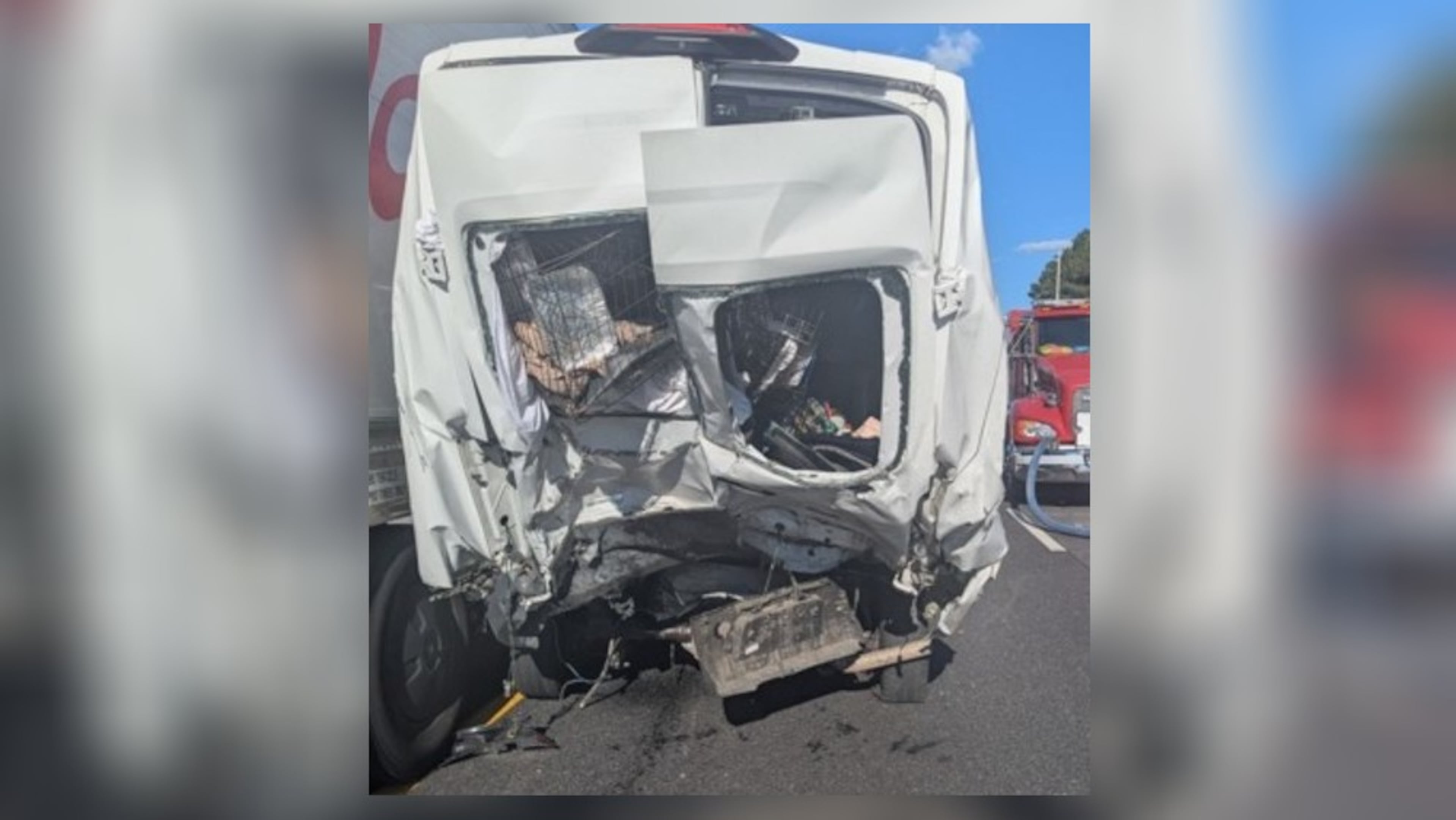 Eight people were killed in a multivehicle crash Monday afternoon on I-85 in Jackson County. A van transporting cats was among the vehicles involved in the crash, a rescue group said. (Furkids Animal Rescue and Shelters)